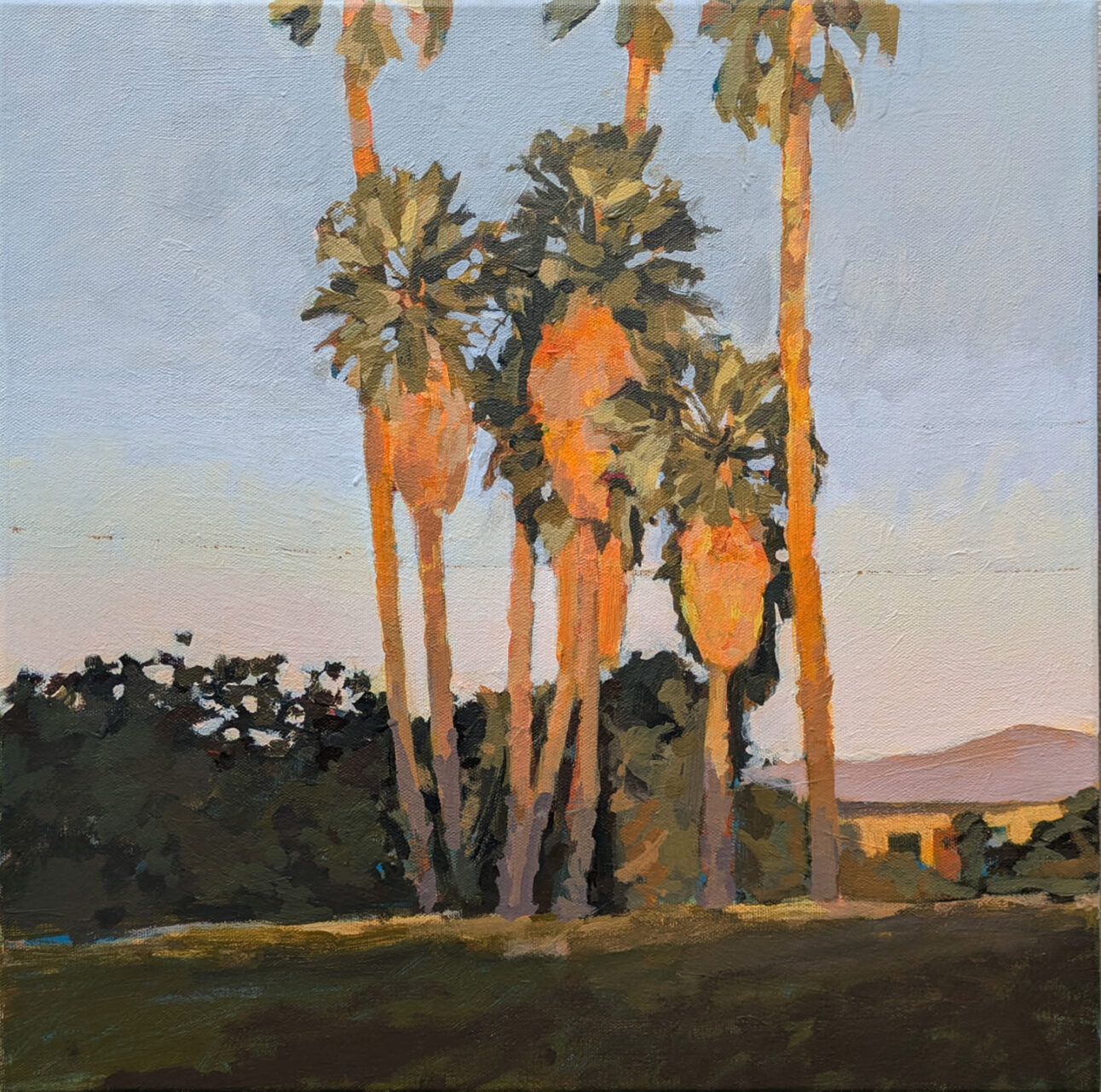 Victoria MacMillan_SUNSET PALMS_15 x 15 inches